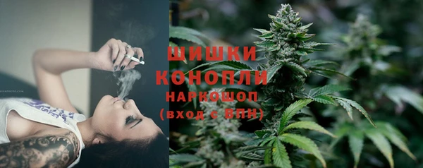 индика Покров