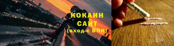 шишки Беломорск