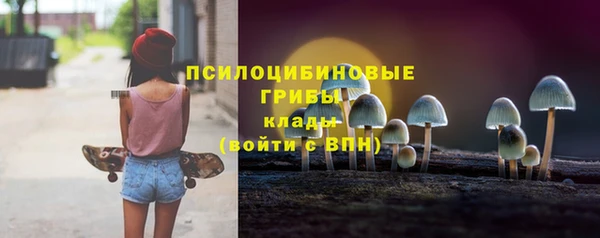 шишки Беломорск