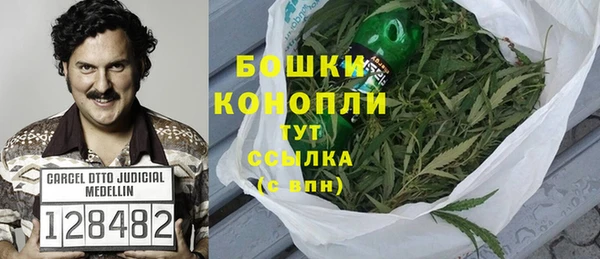 индика Покров