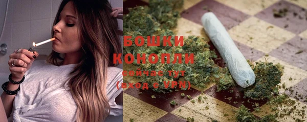 шишки Беломорск