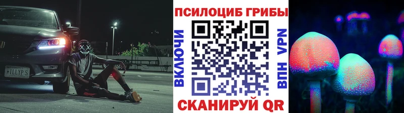 Галлюциногенные грибы Psilocybine cubensis  как найти   Костомукша 